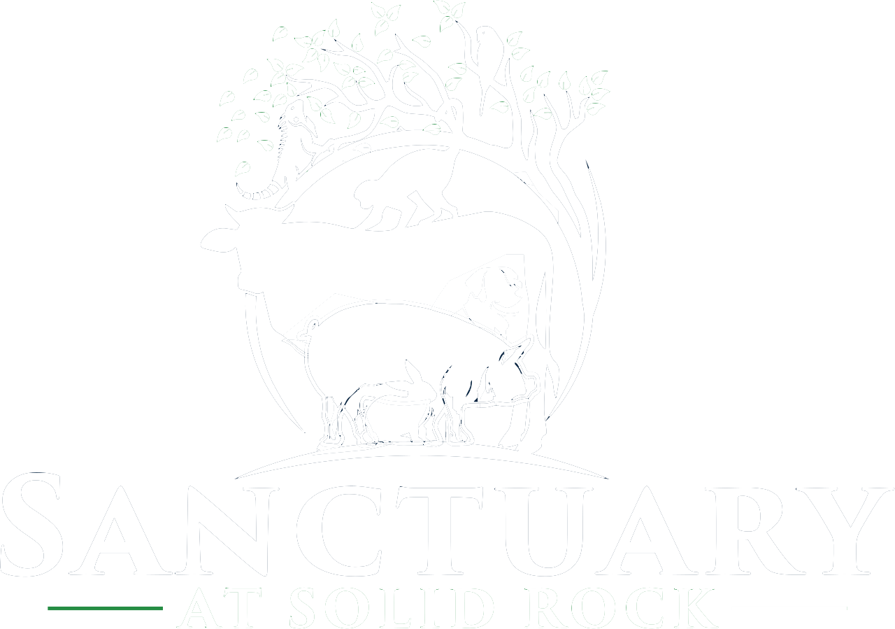 ara-sanctuary-at-solid-rock